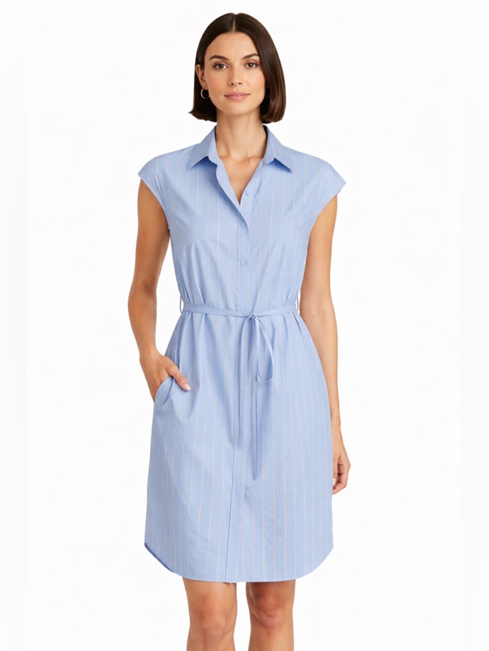 🌺 MM.LaFleur Blue Striped Shirt Dress